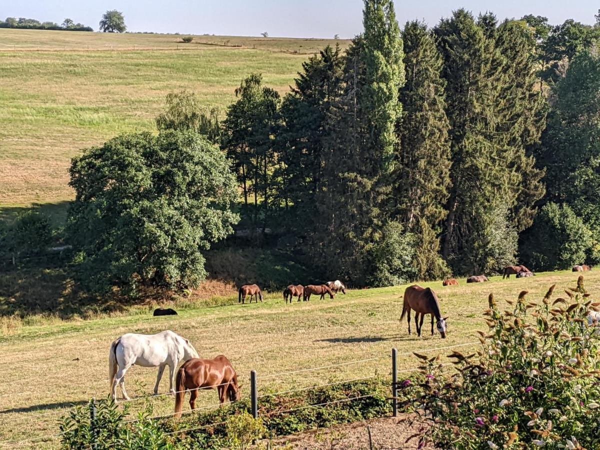 Eifel-Ferienhaus Landblick Hürtgenwald Esterno foto